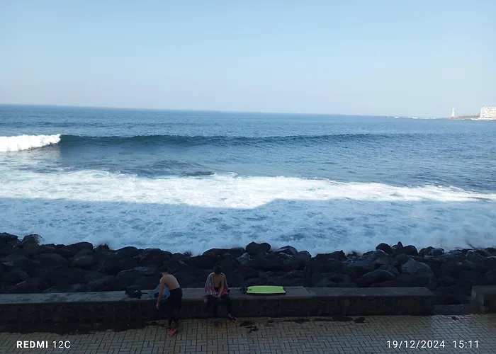 Surf N Swim Vv